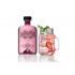 GINEBRA BERRY PICKERS 0,70 CL+ JARRA.