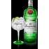 GINEBRA TANQUERAY 6x0.70 L.